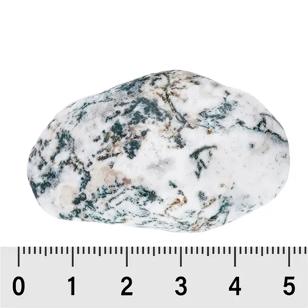 Trommelsteine Achat (Baumachat), 3,5 - 4,5cm (XL) | Marco Schreier