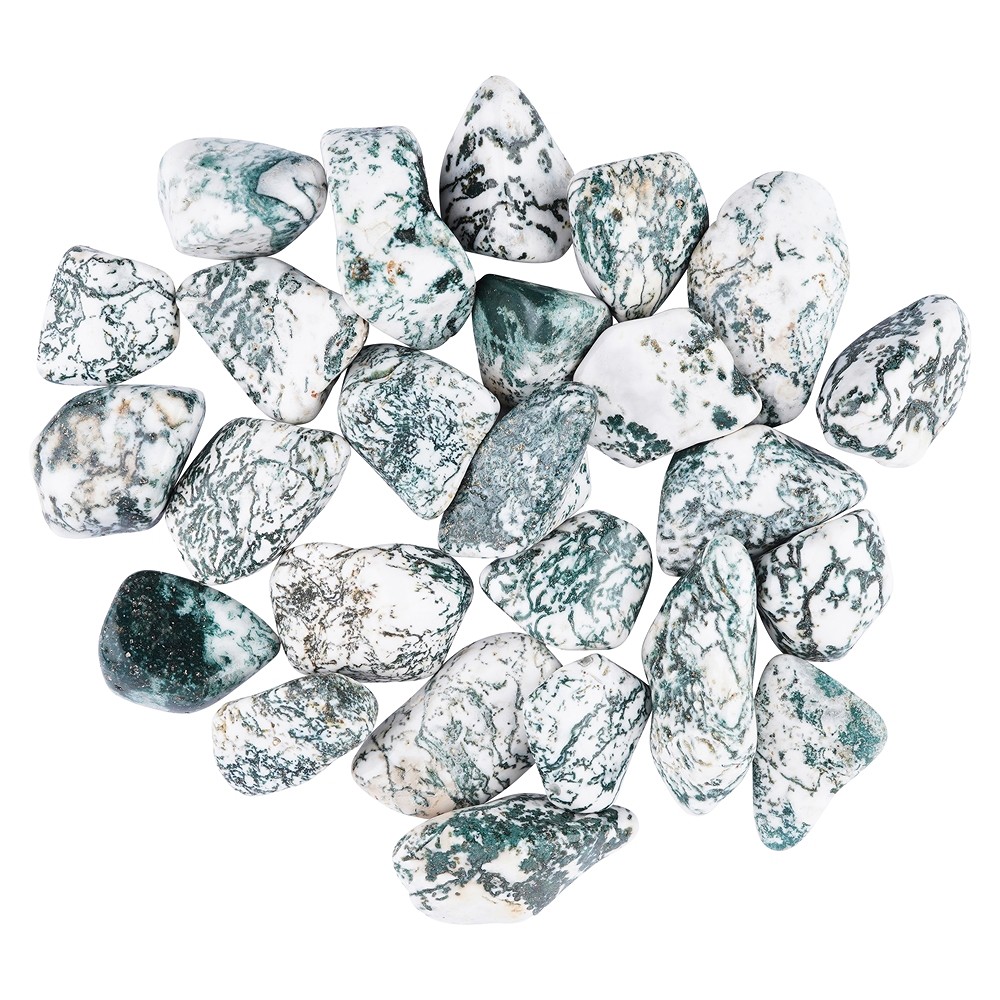 Piedra rodada Ágata árbol, 3,5 - 4,5cm (XL) | Marco Schreier