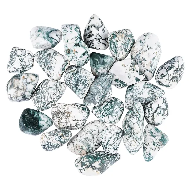 Piedra rodada Ágata árbol, 3,5 - 4,5cm (XL) | Marco Schreier