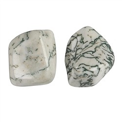 011980301 Pietre burattate di agata (Agata arborea), 2,5 - 4,5 cm (L) | Marco Schreier