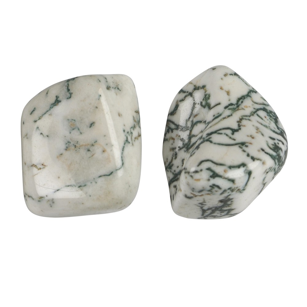 Tumbled Stones Agate (Tree Agate), 2,5 - 4,5cm (L) | Marco Schreier