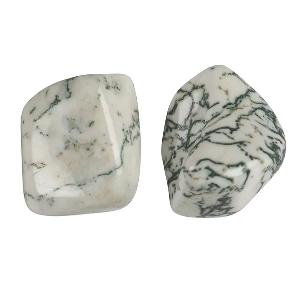 Tumbled Stones Agate (Tree Agate), 2,5 - 4,5cm (L) | Marco Schreier