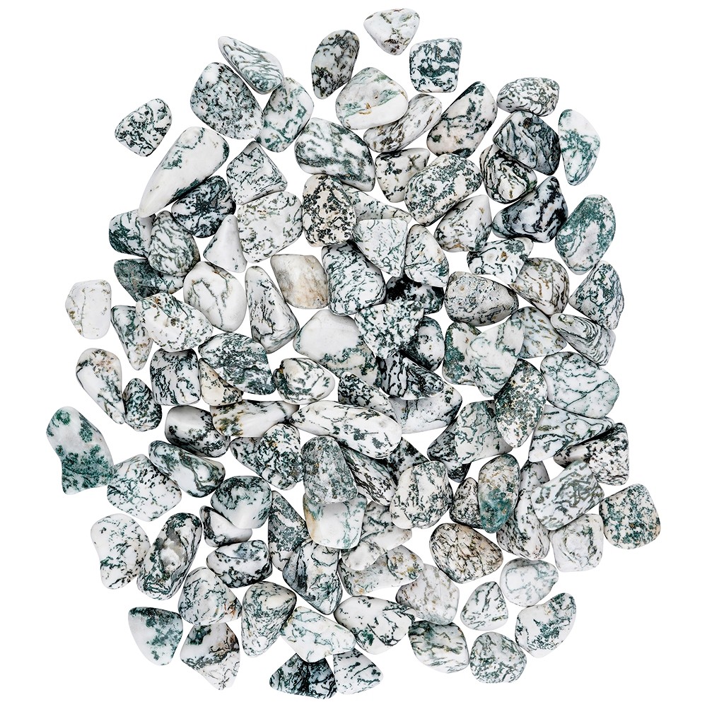 Pietre burattate di agata (Agata arborea), 1,5 - 2,5 cm (M) | Marco Schreier