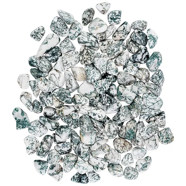 Trommelsteine Achat (Baumachat), 1,5 - 2,5cm (M) | Marco Schreier