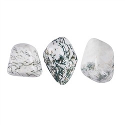 011980401 Tumbled Stones Agate (Tree Agate), 1,5 - 2,5cm (M) | Marco Schreier