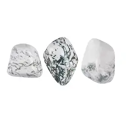 011980401 Tumbled Stones Agate (Tree Agate), 1,5 - 2,5cm (M) | Marco Schreier