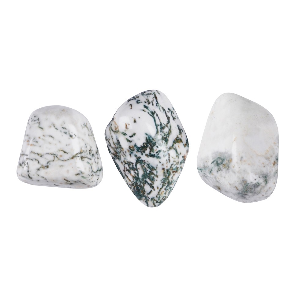 Pietre burattate di agata (Agata arborea), 1,5 - 2,5 cm (M) | Marco Schreier