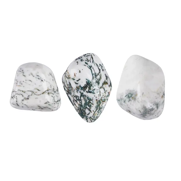 Tumbled Stones Agate (Tree Agate), 1,5 - 2,5cm (M) | Marco Schreier