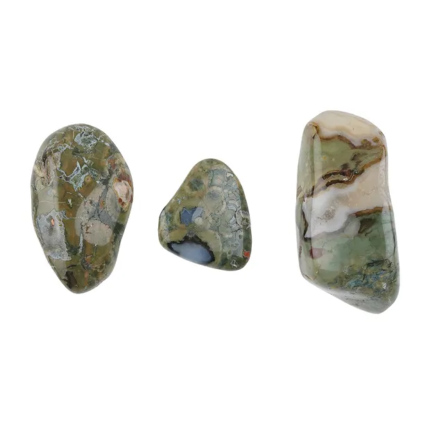 Pietre burattate di riolite (foresta pluviale), 2,5 - 4,0 cm (L) | Marco Schreier