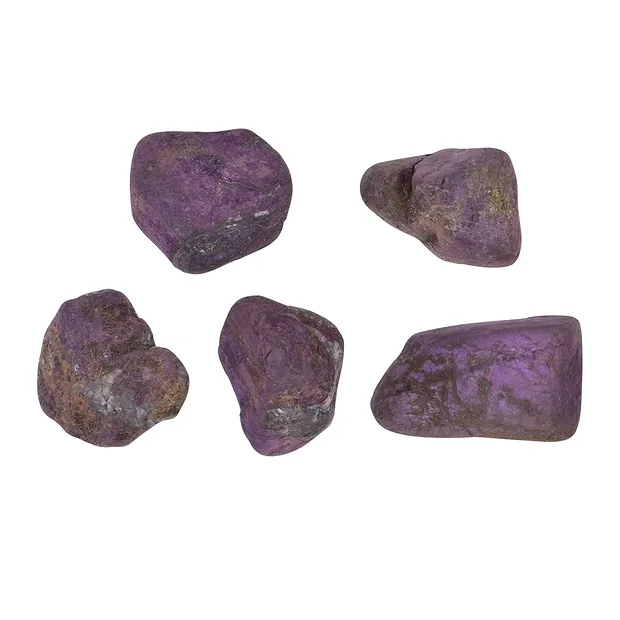 Pietra burattata Purpurite, 2,5 - 4,0 cm (XL) | Marco Schreier