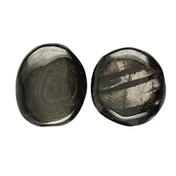 012520302 Trommelsteine Hypersthen extra (Kanada), 2,5 - 3,0cm (L) | Marco Schreier