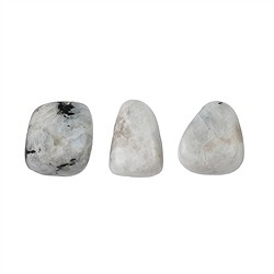 012680401 Pietra burattata Labradorite (bianca), 1,8 - 2,4 cm (M) | Marco Schreier