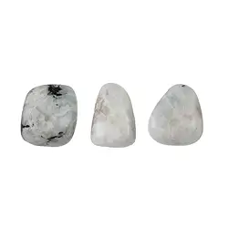 012680401 Tumbled Stone Labrodorite (white), 1,8 - 2,4cm (M) | Marco Schreier