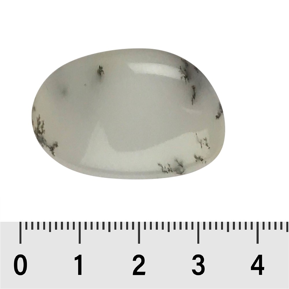 Pietra burattata dendrite opale, 3,2 - 3,6 cm (XL) | Marco Schreier