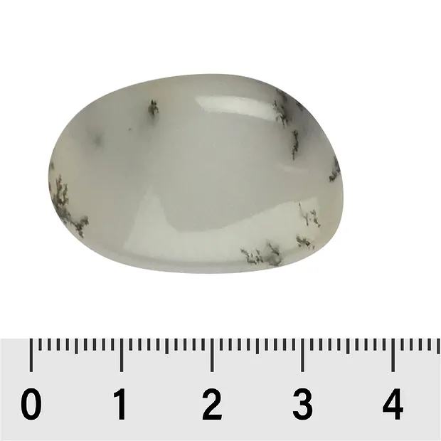 Tumbled stones dendritic opal, 3.2 - 3.6 cm (XL) | Marco Schreier