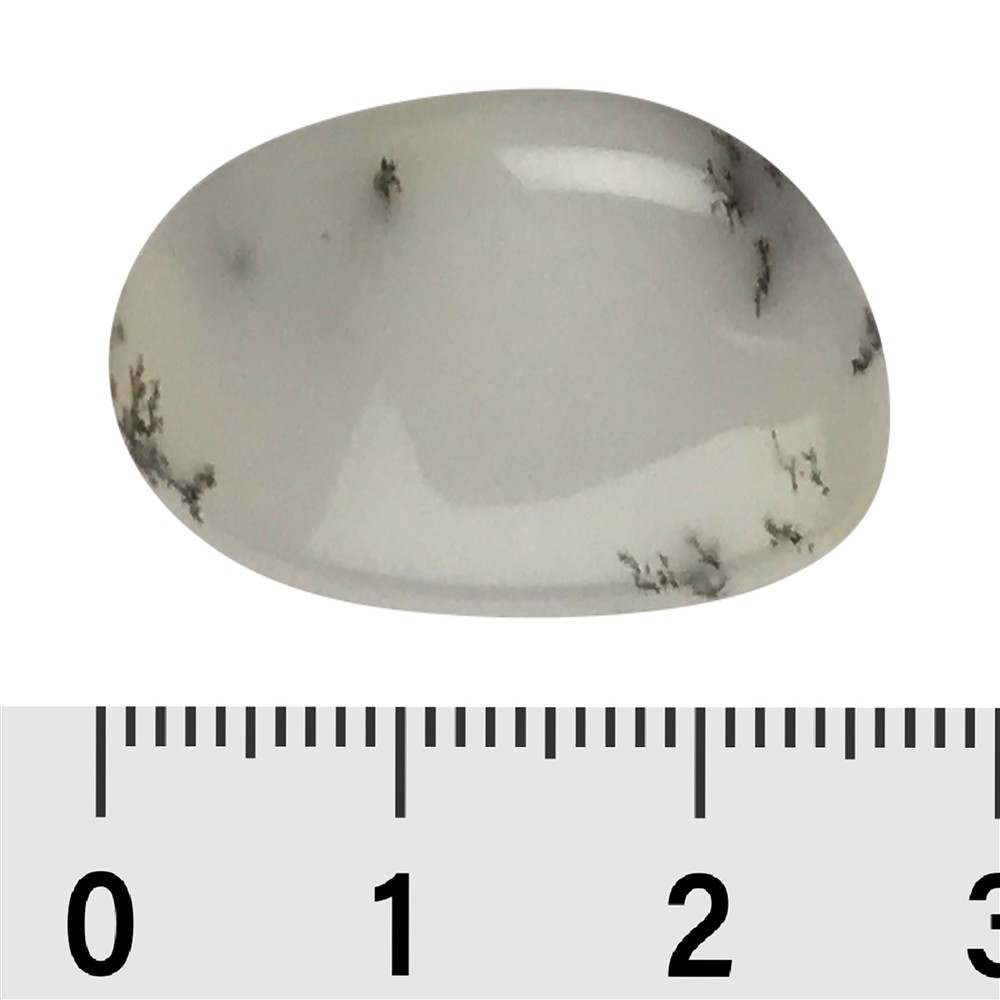 Tumbled stones dendritic opal, 2.5 - 3.3 cm (L) | gems, healing stones & jewelry