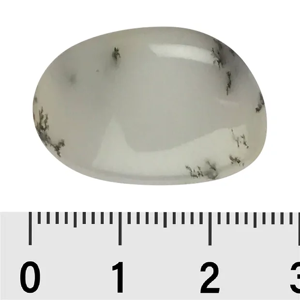 Piedras rodadas ópalo dendrita, 2,5 - 3,3cm (L) | Marco Schreier