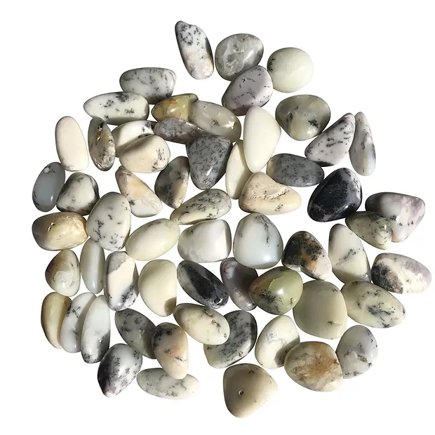 Piedras rodadas ópalo dendrita, 2,5 - 3,3cm (L) | Marco Schreier