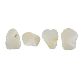 Pietre burattate opale (bianco), 1,5 - 2,5 cm (S) | Marco Schreier