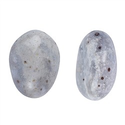 013120301 Tumbled stones chalcedony (manganese), 2.5 - 3.0cm (L)  | Marco Schreier
