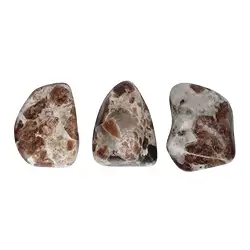 014160401 Trommelsteine Erlan, 2,0 - 3,0cm (M) | Schreier Edelsteine, Heilsteine & Schmuck