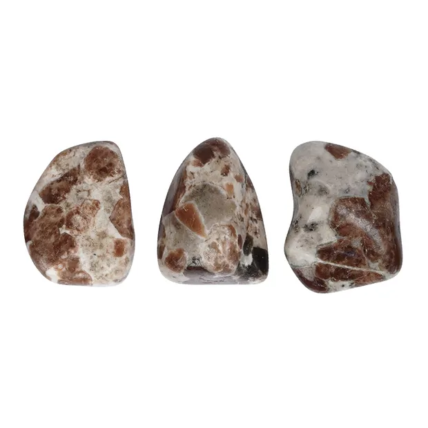 Tumbled Stones Erlan, 2.0 - 3.0cm (M) | wholesale gems, healing stones & jewelry