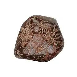 015270201 Tumbled stones star rhyolite "star jasper", 3.5 - 5.2cm (XL) | Marco Schreier