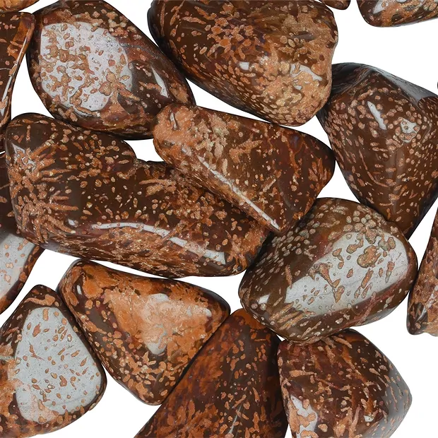 Piedras rodadas riolita estrella "jaspe estrella", 3,4 - 4,5cm (L) | Marco Schreier