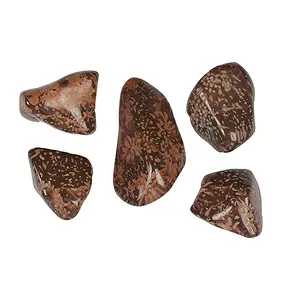 Trommelsteine Sternrhyolith "Sternjaspis", 3,4 - 4,5cm (L) | Marco Schreier