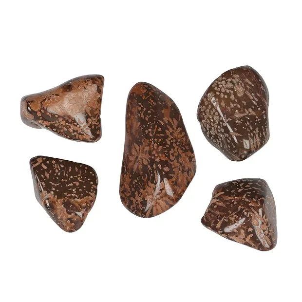 Tumbled stones star rhyolite "star jasper", 3.4 - 4.5cm (L) | Marco Schreier