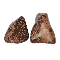 015270301 Tumbled stones star rhyolite "star jasper", 3.4 - 4.5cm (L) | Marco Schreier