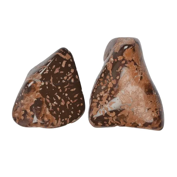 Piedras rodadas riolita estrella "jaspe estrella", 3,4 - 4,5cm (L) | Marco Schreier