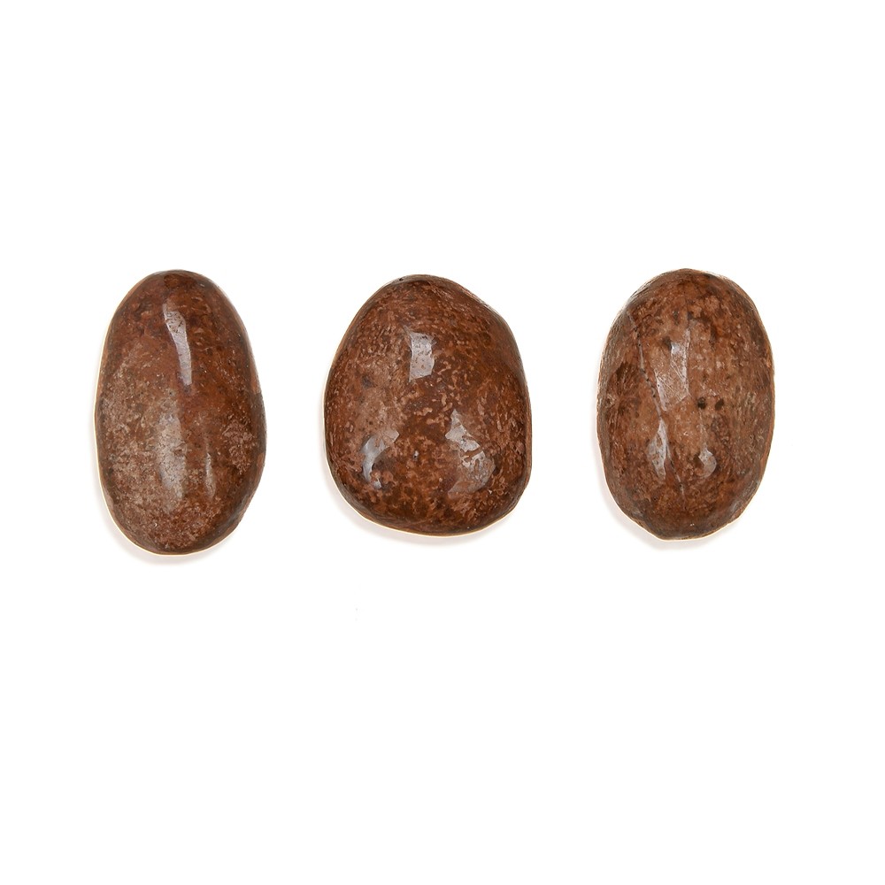 Tumbled stones star rhyolite "star jasper", 1.5 - 2.5cm (M) | Marco Schreier