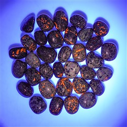 016430301 Piedra rodada Yooperlith, 2,5 - 3,2cm (L) | Marco Schreier