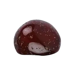 020430001 Tumbled Stones Carnelian (natural), 3.5 - 5.0cm (Jumbo) | Marco Schreier