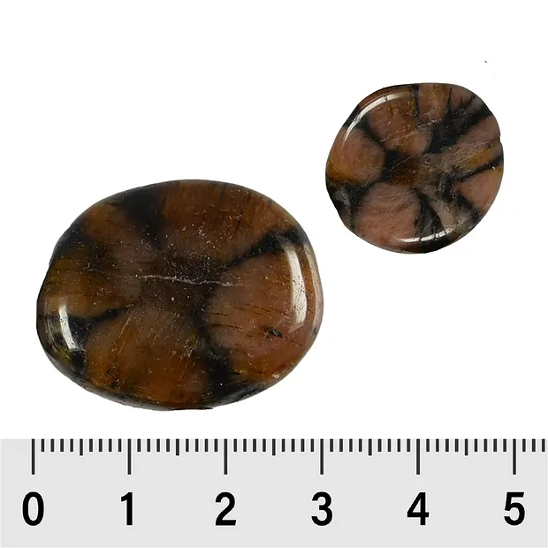 Smooth Stone Chiastolite (Andalusite) | wholesale gems, healing stones & jewelry