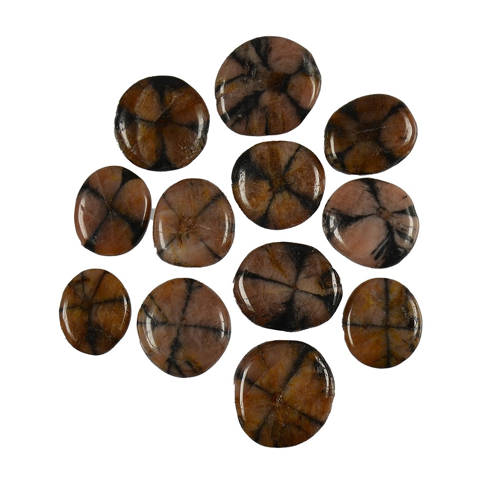 Smooth Stone Chiastolite (Andalusite) | wholesale gems, healing stones & jewelry