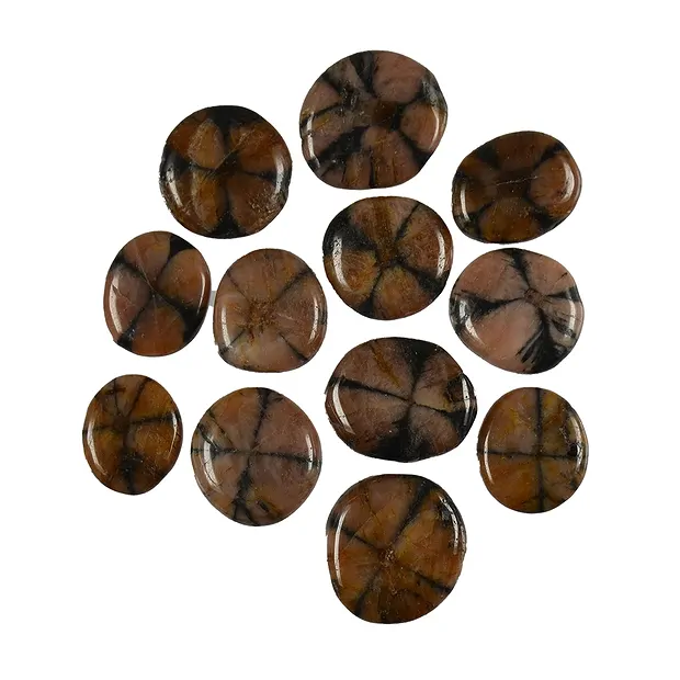 Smooth Stone Chiastolite (Andalusite) | wholesale gems, healing stones & jewelry