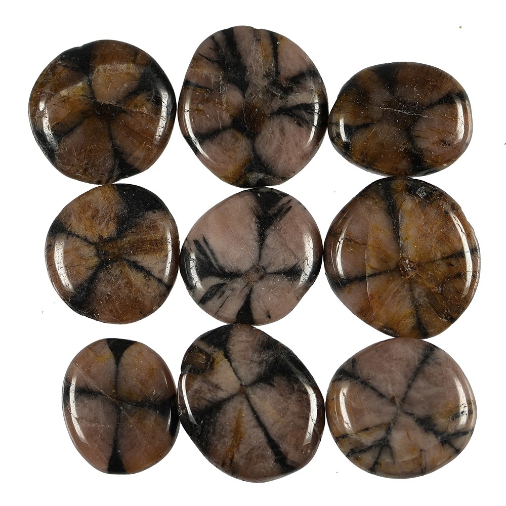 Smooth Stone Chiastolite (Andalusite) | wholesale gems, healing stones & jewelry