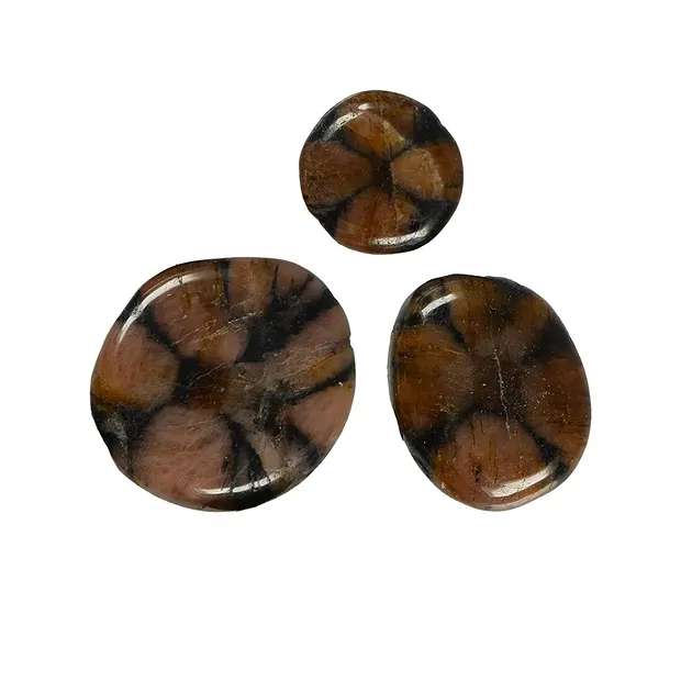 Pietra disco Chiastolite (Andalusite) | grossista gemme e pietre curative