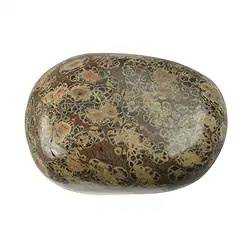 021670001 Tumbled Stones Leopard Skin Stone, 4,0 - 6,0cm (Jumbo) | Marco Schreier