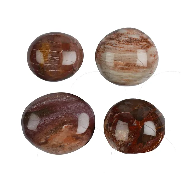 Petrified Wood Tumbled Stones, 3.5 - 5.0cm (Jumbo) | Marco Schreier