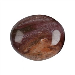 021870001 Trommelsteine versteinertes Holz, 3,5 - 5,0cm (Jumbo) | Marco Schreier