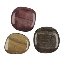 021871501 Scheibensteine versteinertes Holz | Großhändler Edelsteine, Heilsteine & Schmuck