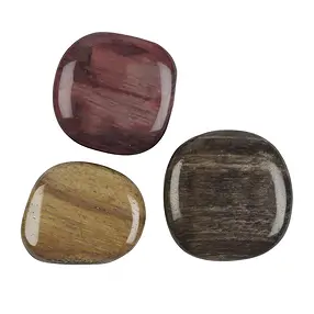 Scheibensteine versteinertes Holz | Großhändler Edelsteine, Heilsteine & Schmuck