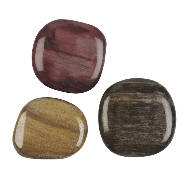 Scheibensteine versteinertes Holz | Großhändler Edelsteine, Heilsteine & Schmuck