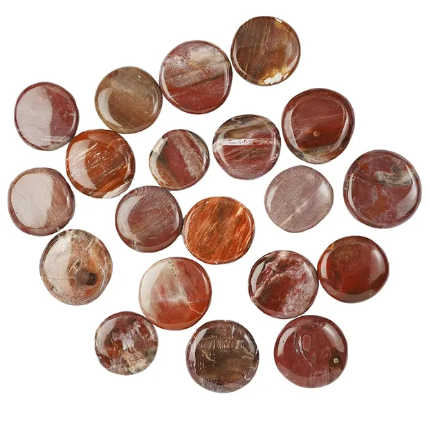 Smooth Stones Petrified Wood (Madagascar) | wholesaler gems & healing stones
