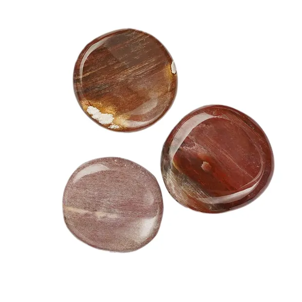 Disco de piedra Madera petrificada (Madagascar) | Marco Schreier