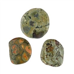 022061501 Pierres lisses Rhyolite (rhyolite de forêt tropicale) | Marco Schreier