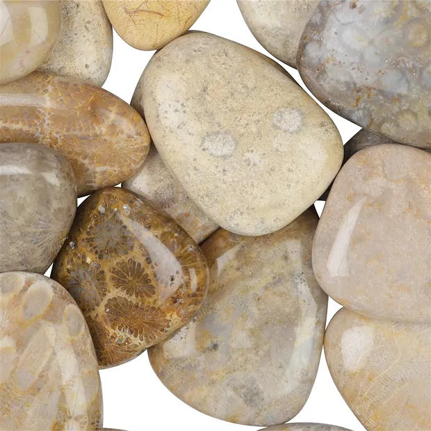 Pierres lisses Corail fossilisé | Marco Schreier